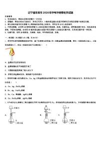 辽宁省本溪市2026年中考冲刺卷化学试题（含答案解析）