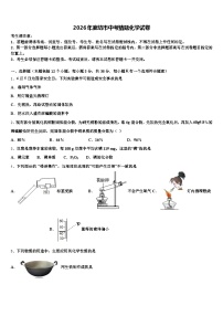 2026年廊坊市中考猜题化学试卷（含答案解析）
