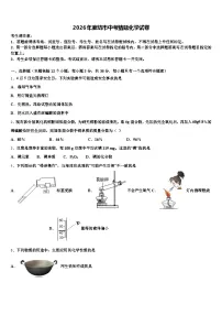2026年廊坊市中考猜题化学试卷（含答案解析）