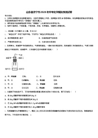 山东省济宁市2026年中考化学模拟预测试卷（含答案解析）