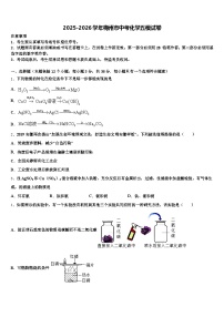 2025-2026学年梅州市中考化学五模试卷（含答案解析）