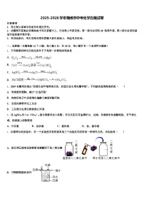 2025-2026学年梅州市中考化学五模试卷（含答案解析）