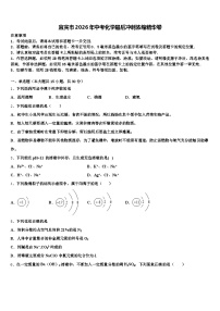 宜宾市2026年中考化学最后冲刺浓缩精华卷（含答案解析）