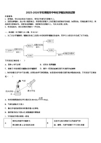 2025-2026学年濮阳市中考化学模拟预测试卷（含答案解析）