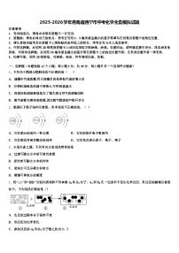 2025-2026学年青海省西宁市中考化学全真模拟试题（含答案解析）