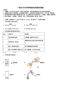 广安市2026年中考适应性考试化学试题（含答案解析）