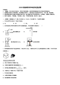 2026年张家界市中考化学仿真试卷（含答案解析）