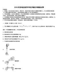 2026年吉林省白城市中考化学最后冲刺模拟试卷（含答案解析）