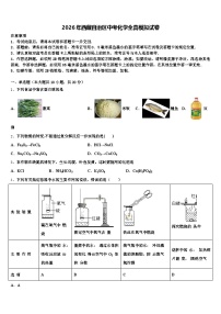 2026年西藏自治区中考化学全真模拟试卷（含答案解析）