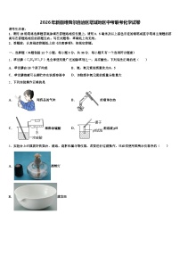 2026年新疆维吾尔自治区塔城地区中考联考化学试卷（含答案解析）