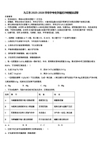 九江市2025-2026学年中考化学最后冲刺模拟试卷（含答案解析）