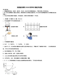 安徽省合肥市2026年中考三模化学试题（含答案解析）