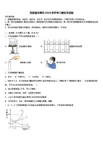 安徽省合肥市2026年中考三模化学试题（含答案解析）