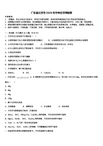 广东省云浮市2026年中考化学押题卷（含答案解析）