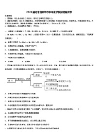 2026届河北省廊坊市中考化学模拟精编试卷（含答案解析）