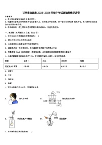 甘肃省金昌市2025-2026学年中考试题猜想化学试卷（含答案解析）