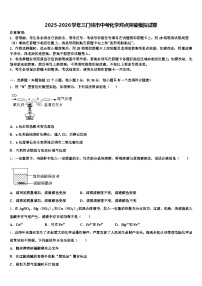 2025-2026学年三门峡市中考化学对点突破模拟试卷（含答案解析）