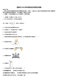宣城市2026年中考适应性考试化学试题（含答案解析）