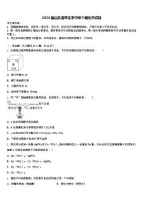 2026届山东省枣庄市中考三模化学试题（含答案解析）