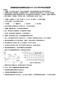 贵州省黔南布依族苗族自治州2025-2026学年中考化学模试卷（含答案解析）