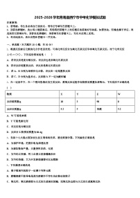 2025-2026学年青海省西宁市中考化学模拟试题（含答案解析）