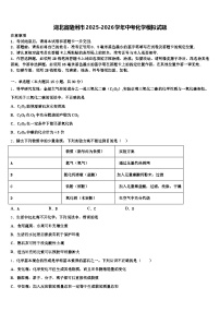 湖北省随州市2025-2026学年中考化学模拟试题（含答案解析）