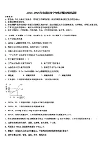 2025-2026学年武汉市中考化学模拟预测试卷（含答案解析）