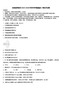 安徽省阜阳市2025-2026学年中考考前最后一卷化学试卷（含答案解析）