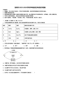 宝鸡市2025-2026学年中考适应性考试化学试题（含答案解析）
