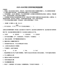 2025-2026学年三沙市中考化学仿真试卷（含答案解析）