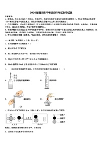 2026届普洱市中考适应性考试化学试题（含答案解析）