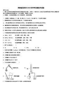 陕西省宝鸡市2026年中考五模化学试题（含答案解析）