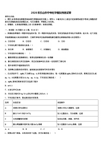2026年乐山市中考化学模拟预测试卷（含答案解析）