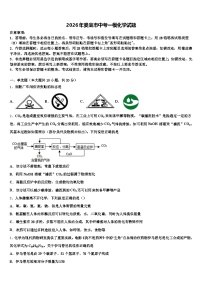 2026年娄底市中考一模化学试题（含答案解析）