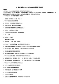 广东省深圳市2026年中考冲刺卷化学试题（含答案解析）