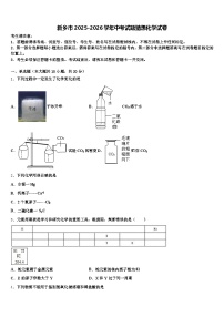 新乡市2025-2026学年中考试题猜想化学试卷（含答案解析）