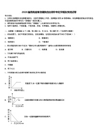 2026届青海省果洛藏族自治州中考化学模拟预测试卷（含答案解析）
