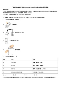 广西壮族自治区河池市2025-2026学年中考联考化学试卷（含答案解析）