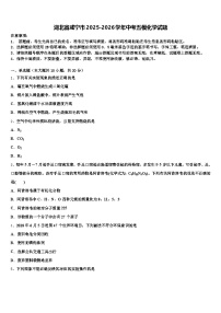 湖北省咸宁市2025-2026学年中考五模化学试题（含答案解析）