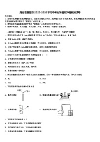 湖南省益阳市2025-2026学年中考化学最后冲刺模拟试卷（含答案解析）