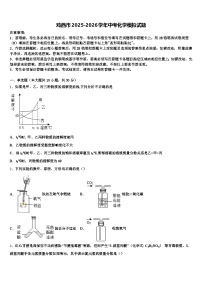 鸡西市2025-2026学年中考化学模拟试题（含答案解析）