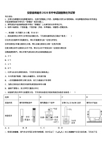 安徽省淮南市2026年中考试题猜想化学试卷（含答案解析）
