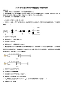 2026年广东省东莞市中考考前最后一卷化学试卷（含答案解析）