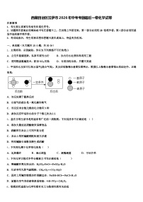 西藏自治区拉萨市2026年中考考前最后一卷化学试卷（含答案解析）