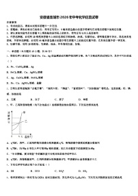 安徽省宣城市2026年中考化学仿真试卷（含答案解析）
