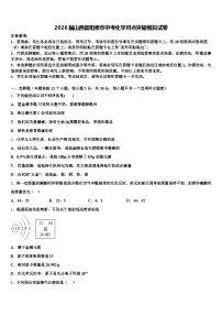 2026届山西省阳泉市中考化学对点突破模拟试卷（含答案解析）