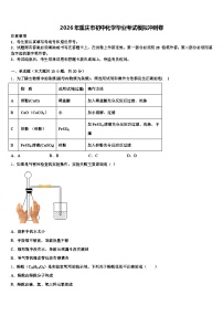 2026年重庆市初中化学毕业考试模拟冲刺卷（含答案解析）