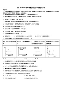 周口市2026年中考化学最后冲刺模拟试卷（含答案解析）