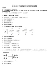 2025-2026学年山东省泰安市中考化学四模试卷（含答案解析）