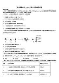 贵州省铜仁市2026年中考化学仿真试卷（含答案解析）